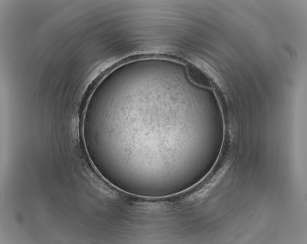 X0000113000781200909031252