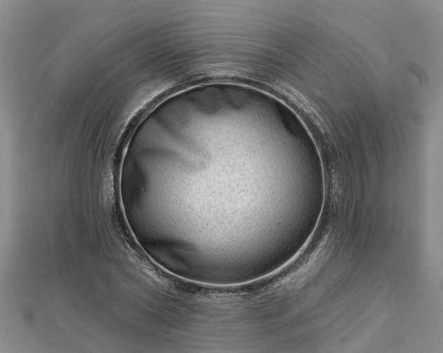 X0000113000782200909031252