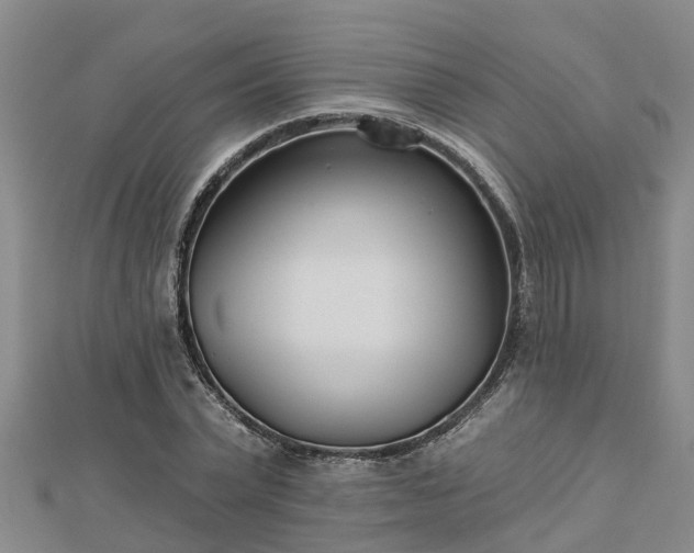 X0000113000783200909031252