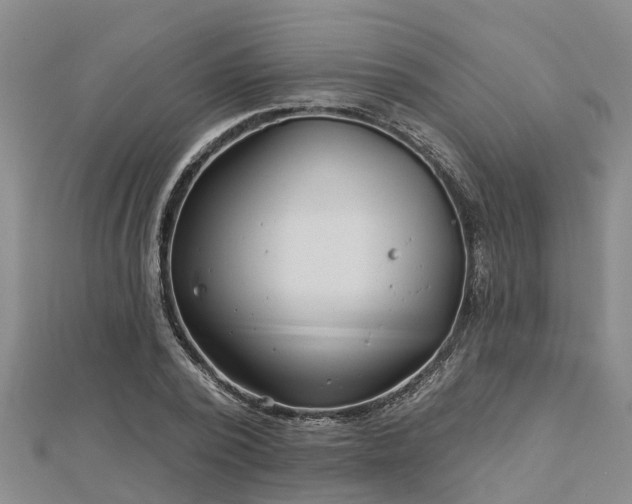 X0000113000784200909031252