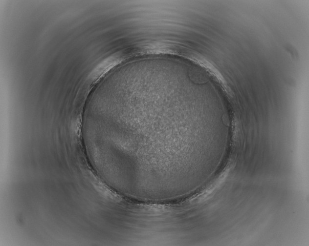 X0000113000785200909031252