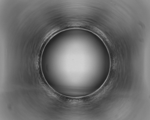 X0000113000786200909031252