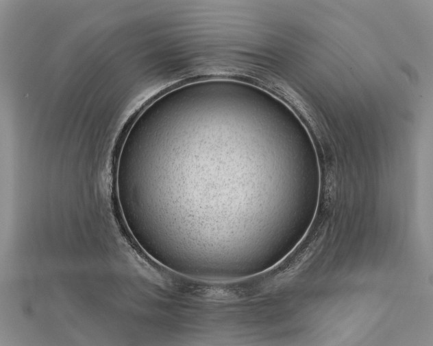 X0000113000787200909031252