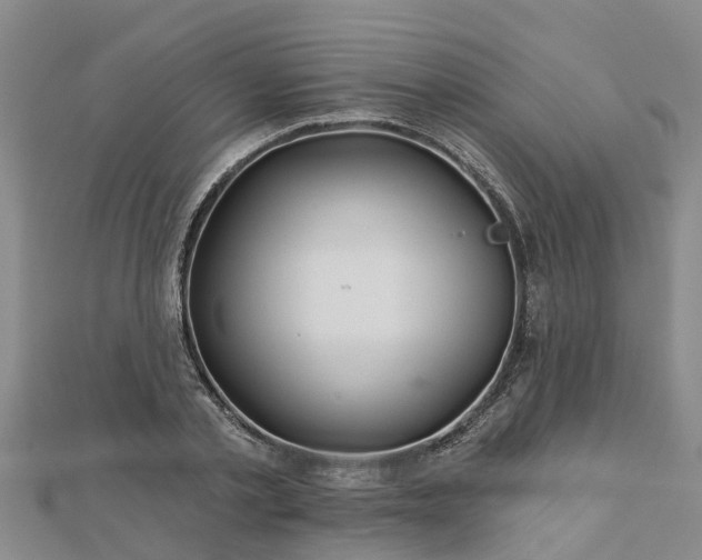 X0000113000789200909031252