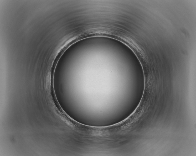 X0000113000790200909031252