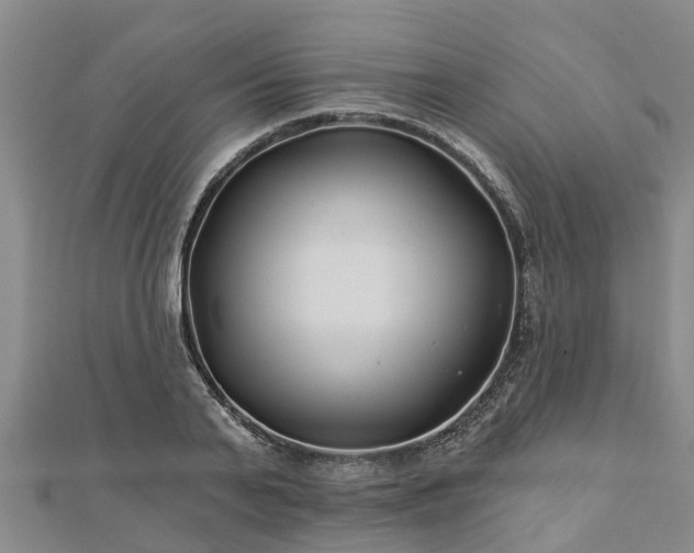 X0000113000791200909031252