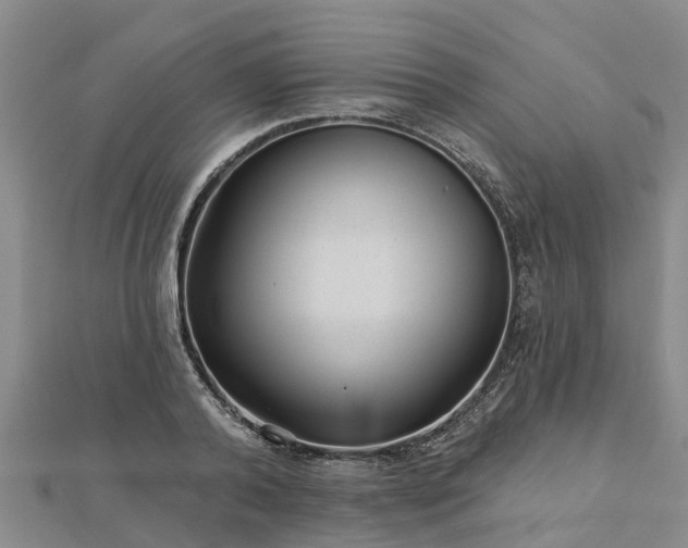 X0000113000792200909031252