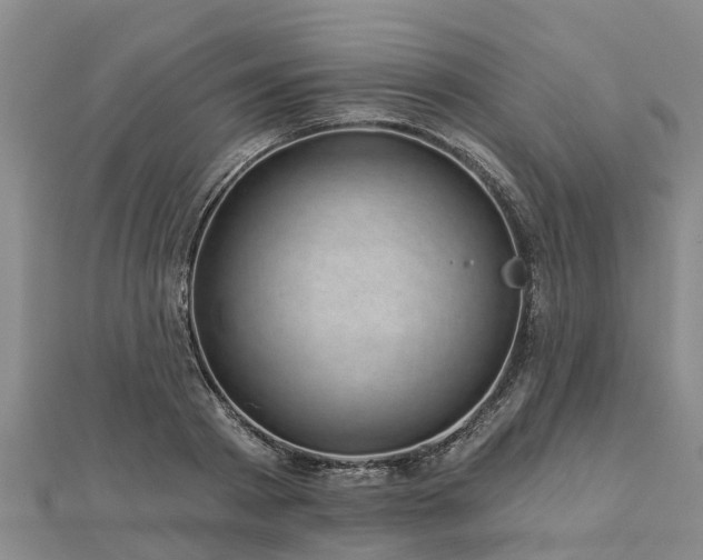 X0000113000793200909031252