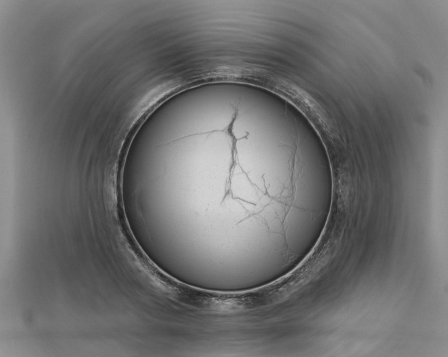 X0000113000794200909031252