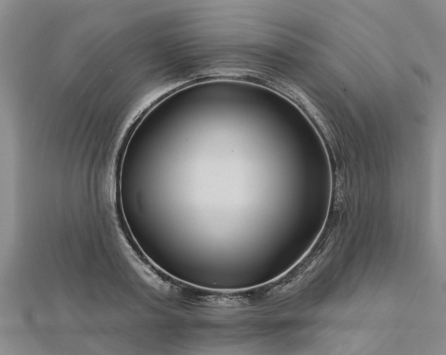 X0000113000795200909031252