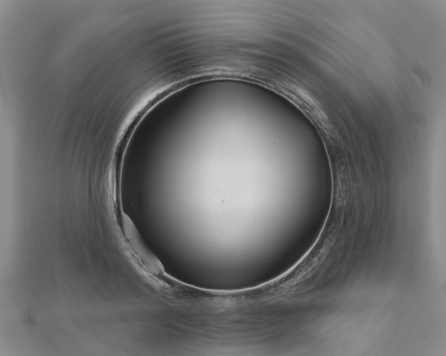 X0000113000796200909031252