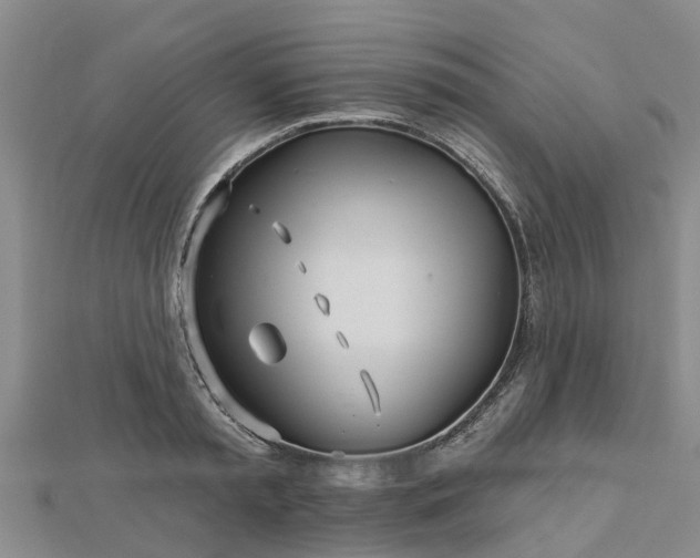 X0000113000797200909031252