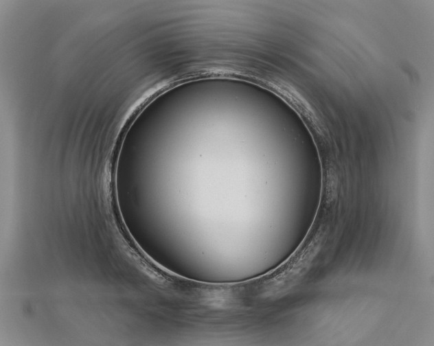 X0000113000798200909031252