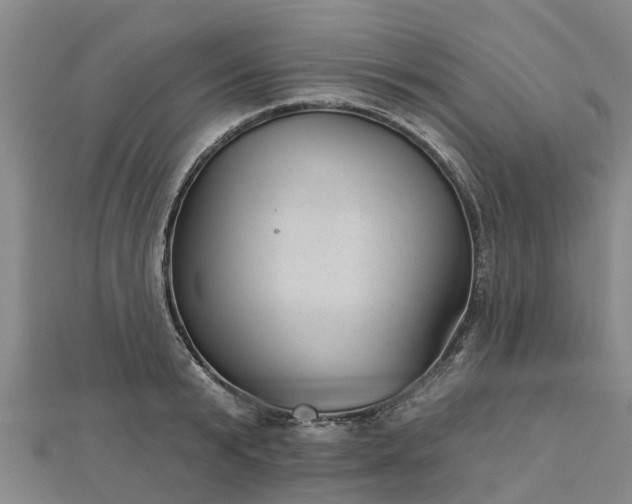 X0000113000799200909031252