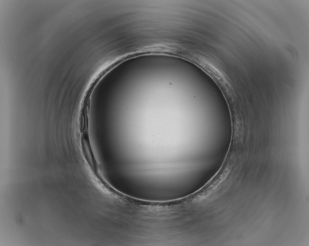 X0000113000800200909031252