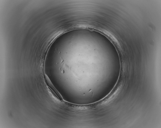 X0000113000801200909031252