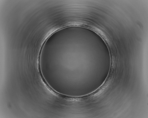 X0000113000802200909031252