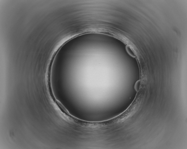 X0000113000803200909031252