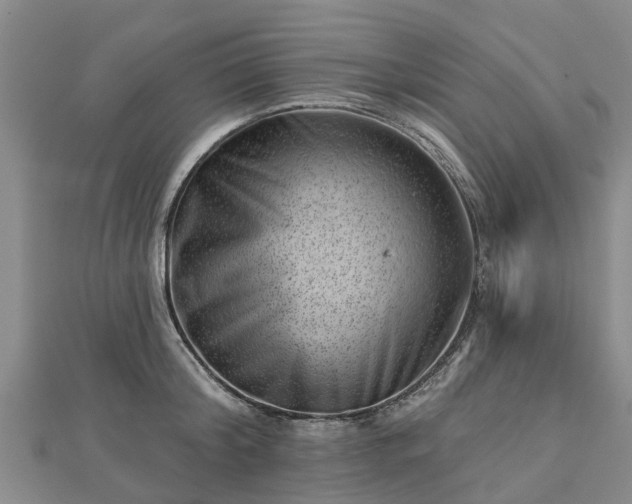 X0000113000804200909031252