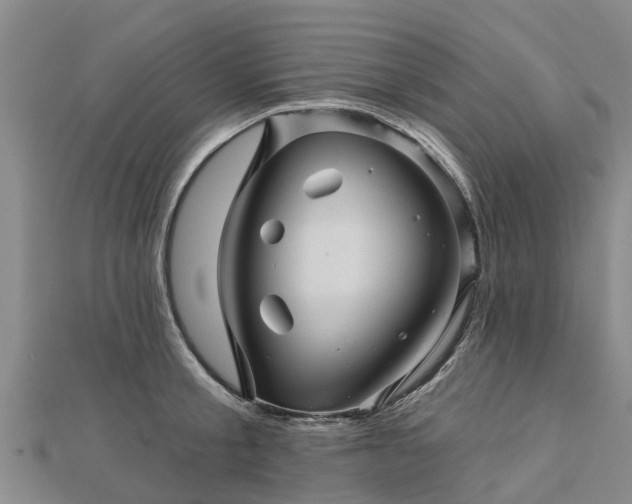 X0000113000805200909031252