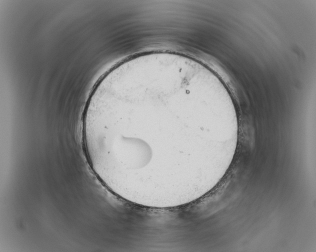 X0000113000807200909031252