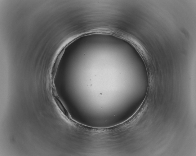 X0000113000808200909031252