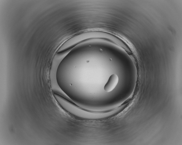 X0000113000809200909031252