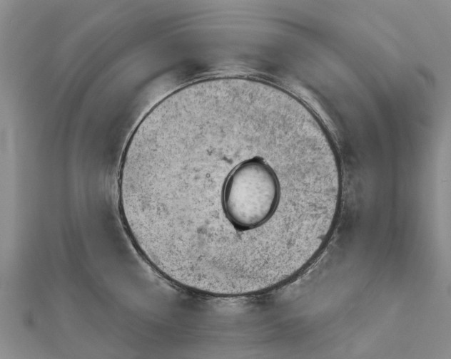 X0000113000810200909031252