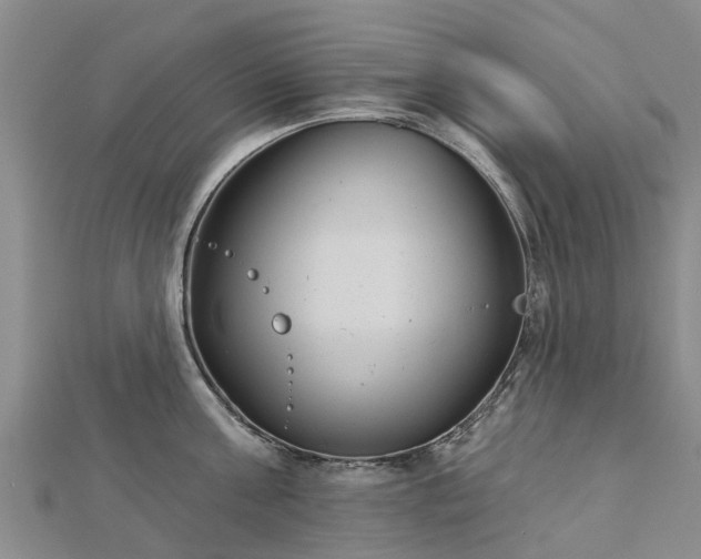 X0000113000811200909031252