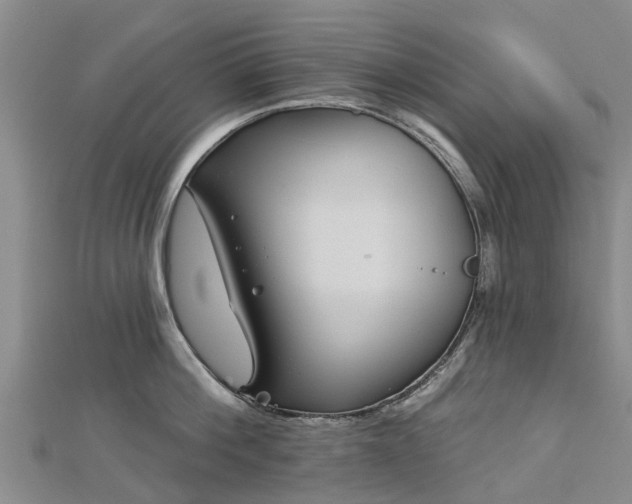 X0000113000812200909031252