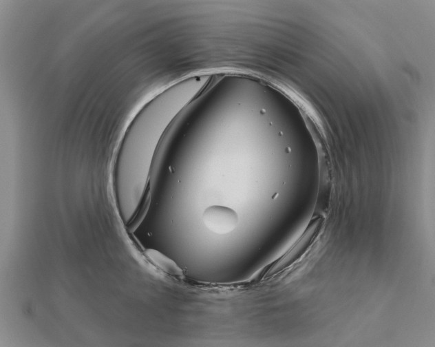 X0000113000813200909031252