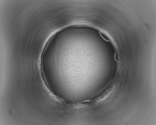 X0000113000815200909031252