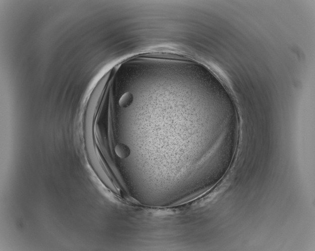 X0000113000816200909031252