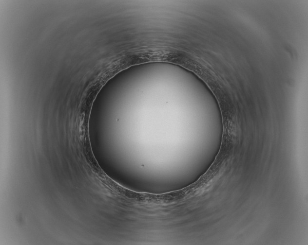 X0000113000818200909031251