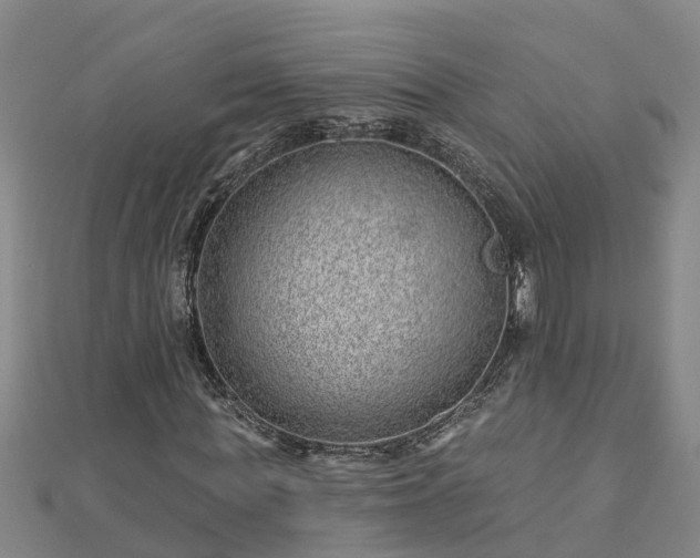 X0000113000819200909031251