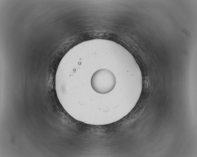 X0000113000820200909031251