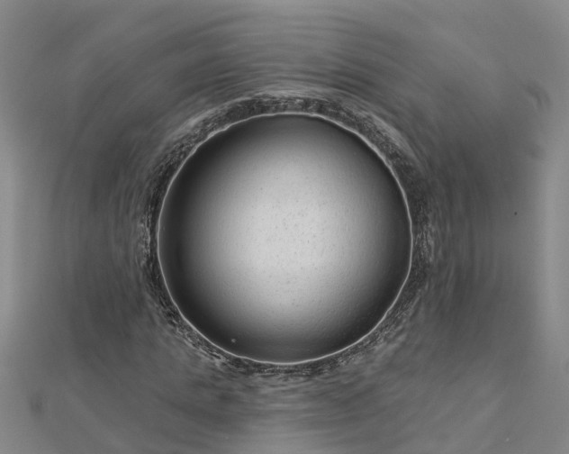 X0000113000821200909031251