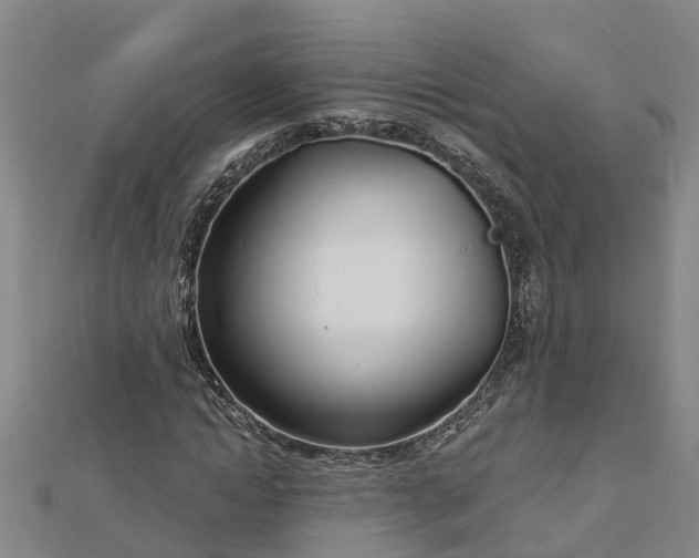 X0000113000822200909031251