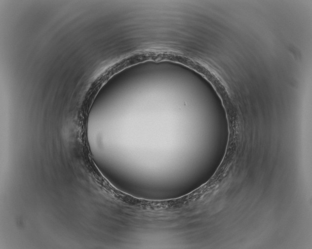 X0000113000823200909031251