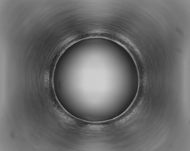 X0000113000825200909031251