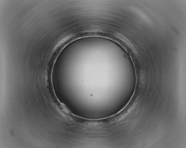 X0000113000826200909031251