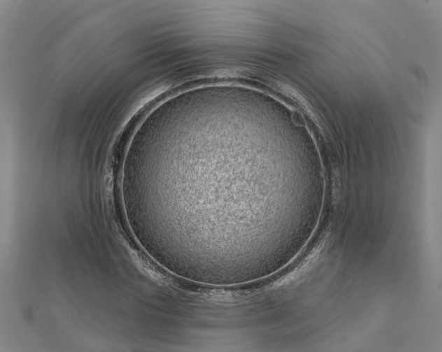 X0000113000827200909031251