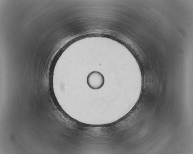 X0000113000828200909031251