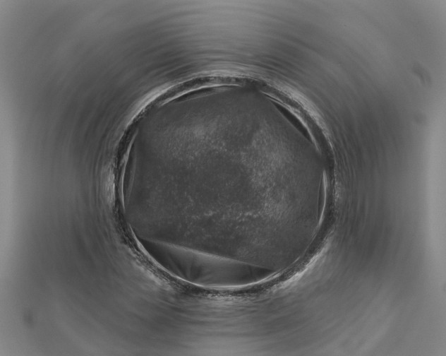 X0000113000829200909031251