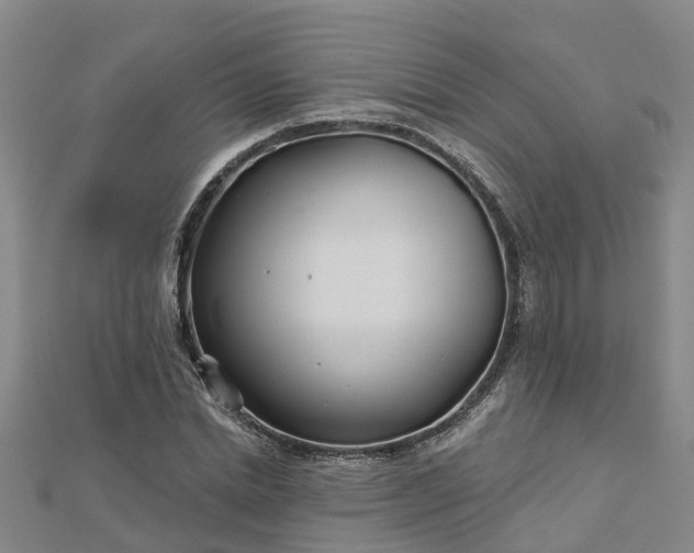 X0000113000830200909031251