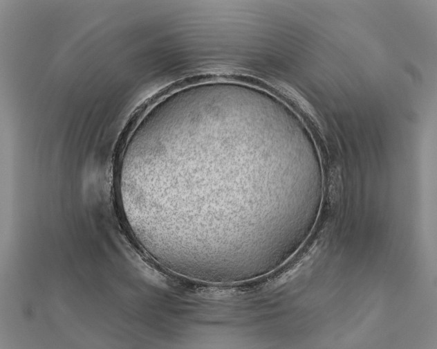 X0000113000831200909031251