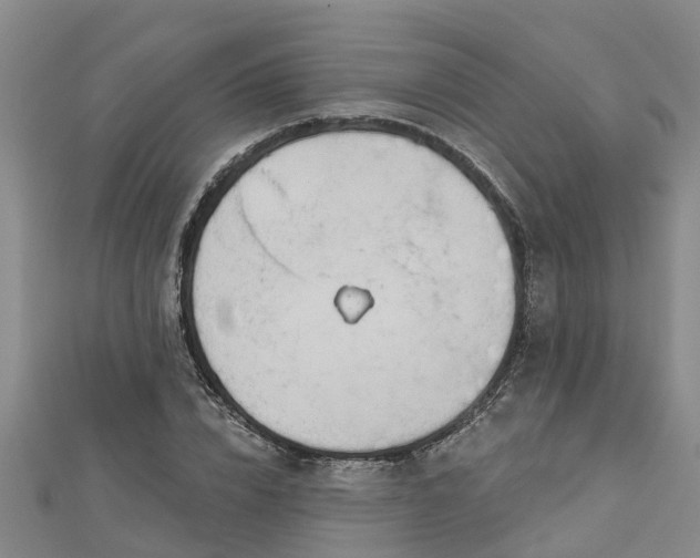 X0000113000832200909031251