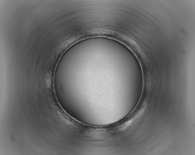 X0000113000833200909031251