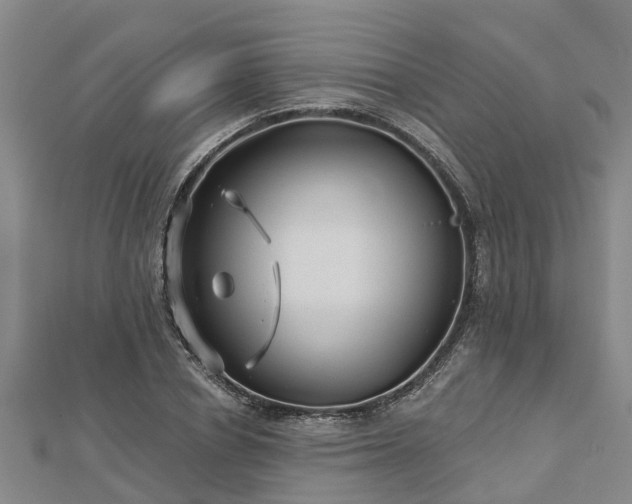 X0000113000834200909031251