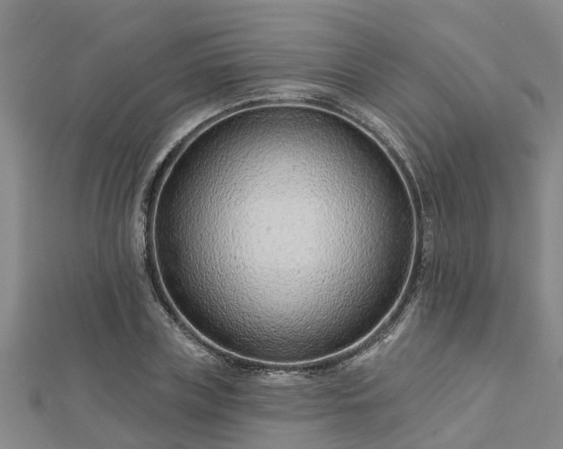 X0000113000835200909031251